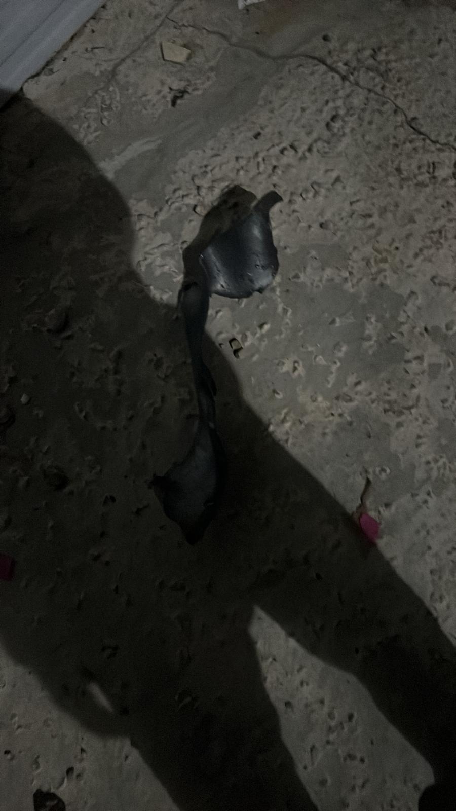 WhatsApp Image 2023-12-02 at 22.43.05 (2).jpeg